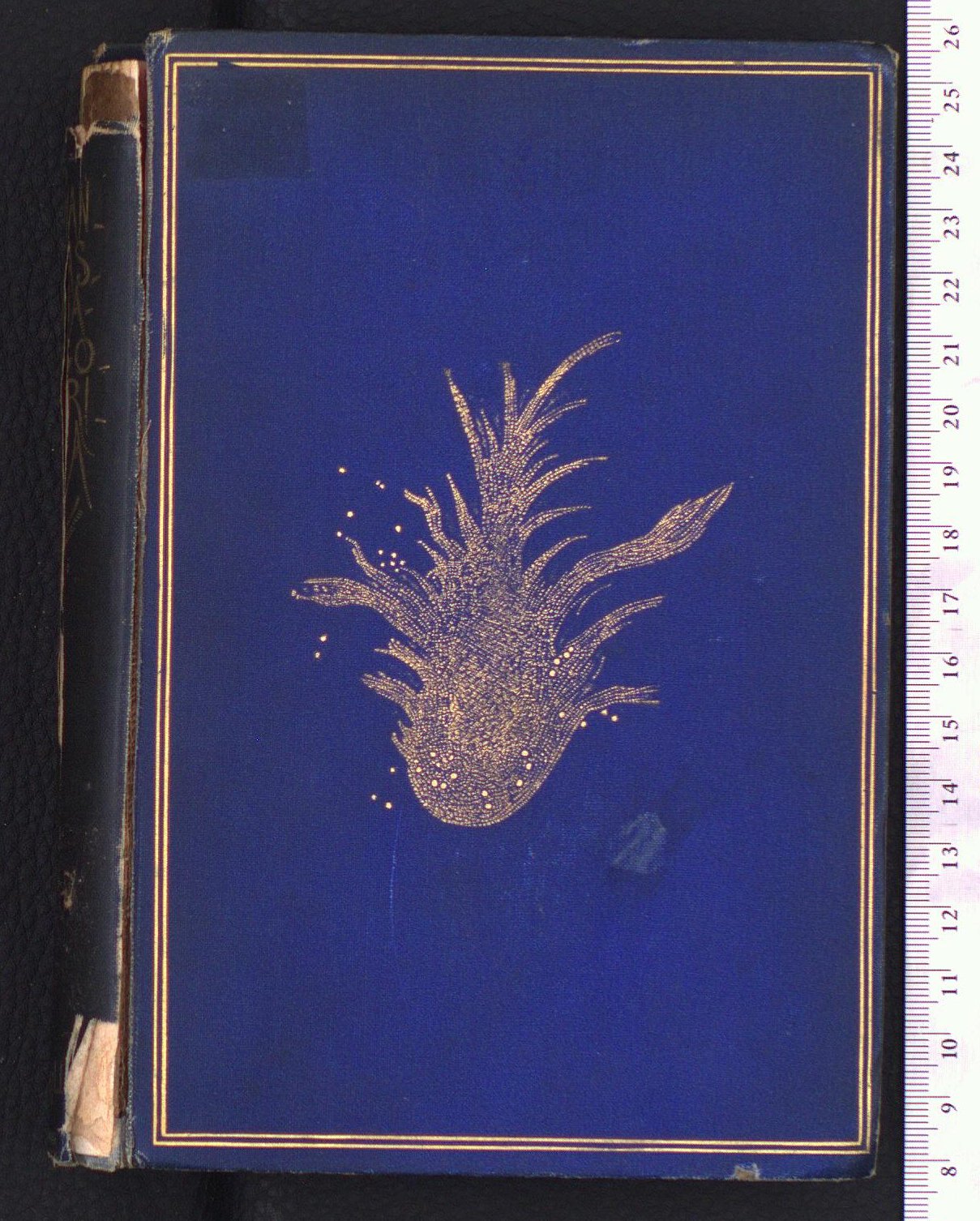 Front cover of the object